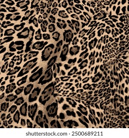 Leopard skin pattern, animal leather seamless design