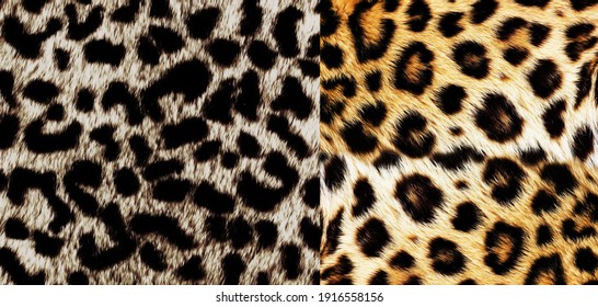 119,689 Cheetah texture Images, Stock Photos & Vectors | Shutterstock