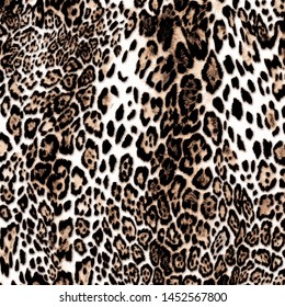 Leopard texture, animal print, african animal fur
