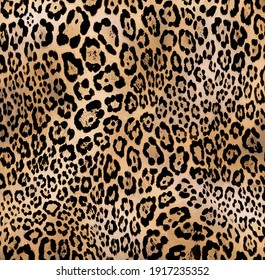 Leopard Texture, Leopard Skin, Jaguar Fur