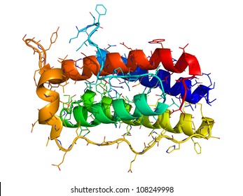 Leptin, the human obesity protein that regulates an appetite. 3D molecular structure