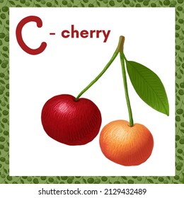 The letter C is an cherry. Delicious fruit and berry alphabet, chalk drawing. Berry drawn naturalistic alphabet