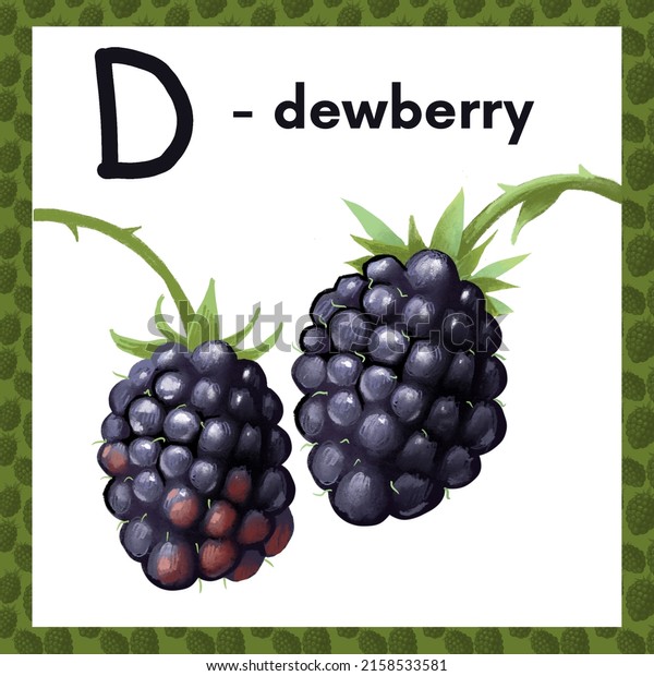 The letter D is an\
dewberry. Delicious fruit alphabet, chalk drawing. Fruit drawn\
naturalistic\
alphabet