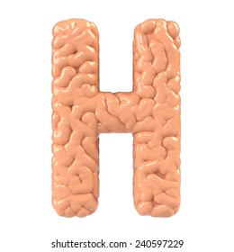 Letter H. Brain Alphabet Isolated On White Background.Brain Font. 