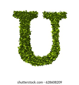 Letter U Alphabet Nature Leaf Font Stock Illustration 628608209 ...