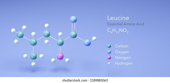 Leucine  essential amino