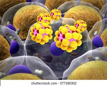 Leukocyte And Fat Cells, Coronavirus In The Blood, Cholesterol In A Cells, Field Of Cells And Lymphocyte, Cell Division, Microscopic Image Of Cells, 3d Rendering