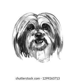 Lhasa Apso - Hand Painted, Isolated Watercolor Dog