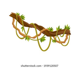 Liana or jungle plant or vine wild greenery winding branches  stem with leaves isolated decorative elements tropical vines rainforest flora and exotic botany wild curling species and twigs