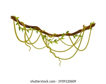 Liana Or Jungle Plant Or Vine Wild Greenery Winding Branches  Stem With Leaves Isolated Decorative Elements Tropical Vines Rainforest Flora And Exotic Botany Wild Curling Species And Twigs