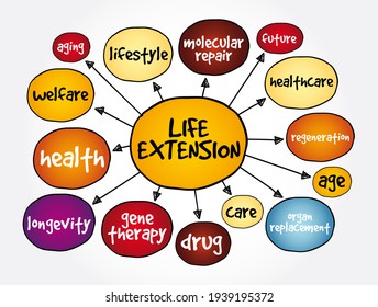 Life Extension Mind Map, Concept For Presentations And Reports