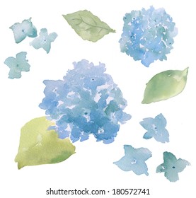 Light Blue Watercolor Hydrangea Flower Collection 