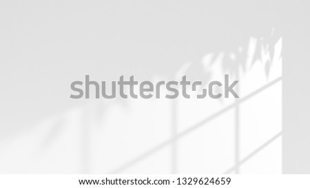Similar – Image, Stock Photo quiet place