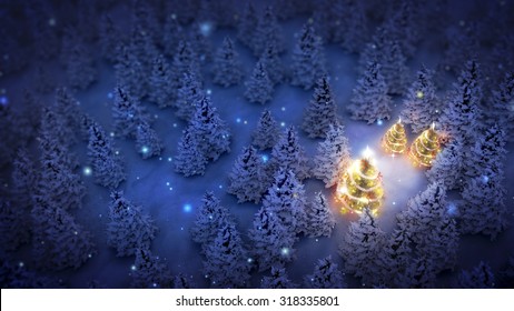 lightened christmas trees surrounded by snow-covered pine trees at night.
