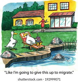 "Like I'm going to give this up to migrate?"