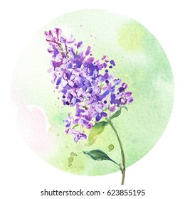 Lilac Blossom Branch. Watercolor Painting