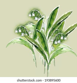 Lily Of The Valley 