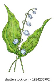 
Lily Of The Valley Flower. Painting With Watercolors And Ink On A White Background. Illustration For The Decor And Design Of Posters, Postcards, Prints, Stickers, Invitations, Textiles And Stationery