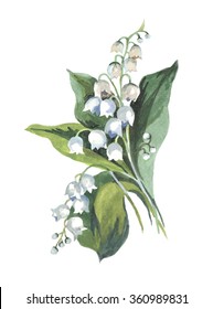 Lily Of The Valley Watercolor