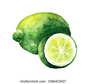 Lime.  Illustration With Watercolor Fruit. Watercolor Picture Of A Painting Technique. Fresh Organic Food.