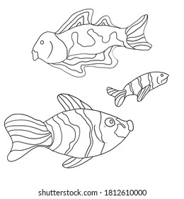 Handdrawn Aquarium Fish Vector Doodle Coloring Stock Vector (Royalty ...