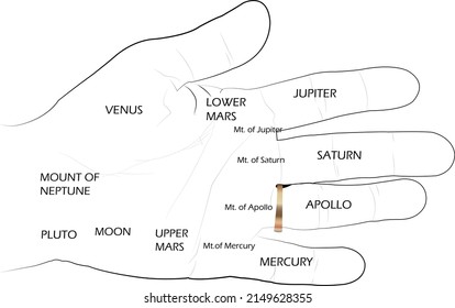 Line Art of Hand gestures and palm Palmistry , thumb print, life line, 