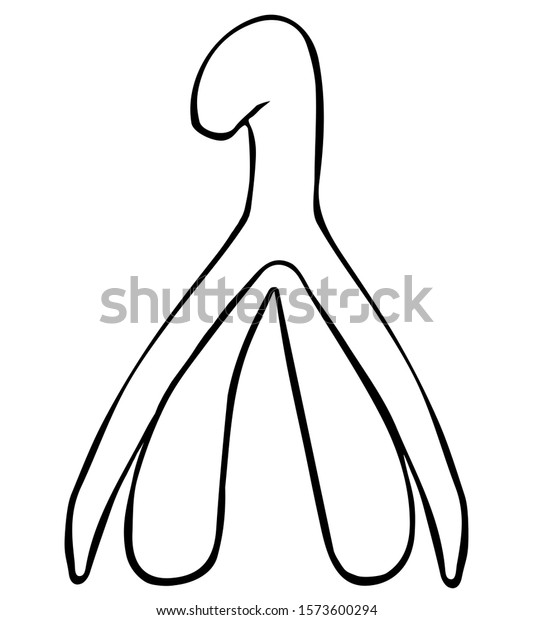 Line Art Illustration Female Reproductive System のイラスト素材