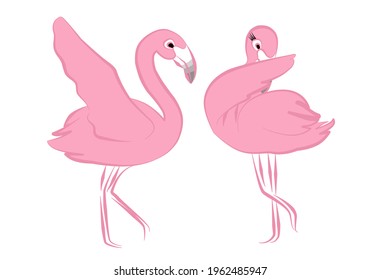 Line Art Illustration Flamingos Dance. Couple  Pink Flamingo