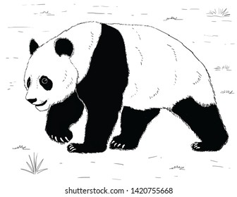 86 Mature panda Images, Stock Photos & Vectors | Shutterstock