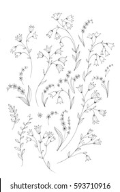 Sweet Pea Leaves Seamless Pattern Vector Stock Vector (royalty Free 