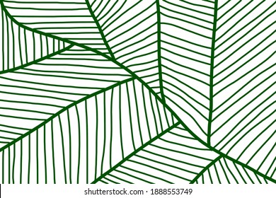 Line Drawing Of Leaves Art Work