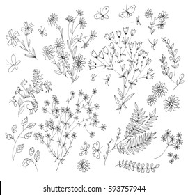 Line drawing various plants