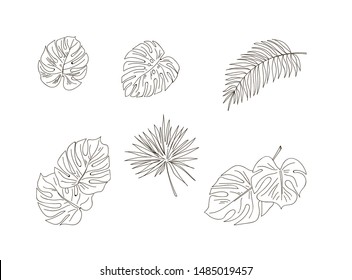 Line Drawings Tropical Leaves Stock Illustration 1485019457 | Shutterstock