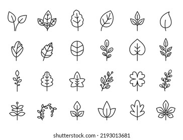 Line leaves icon  Vegan leaf  eco plant growth   fresh organic  symbol set  Isolated natural foliage from different trees as maple  birch   oak  Minimal outlined herbal elements