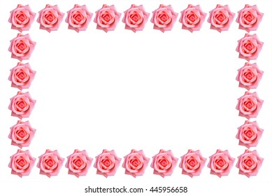 The line roses and