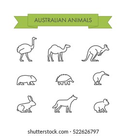 Line Set Of Australian Animals. Linear Icon Dingo, Koala, Kangaroo, Echidna And Kiwi.