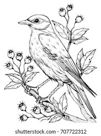 Featured image of post Easy Drawings Of Flowers And Birds : The complete book of drawing techniques a professional guide for the artist.pdf.