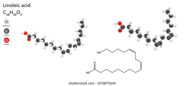 Linoleic Acid: Imágenes, fotos de stock y vectores | Shutterstock