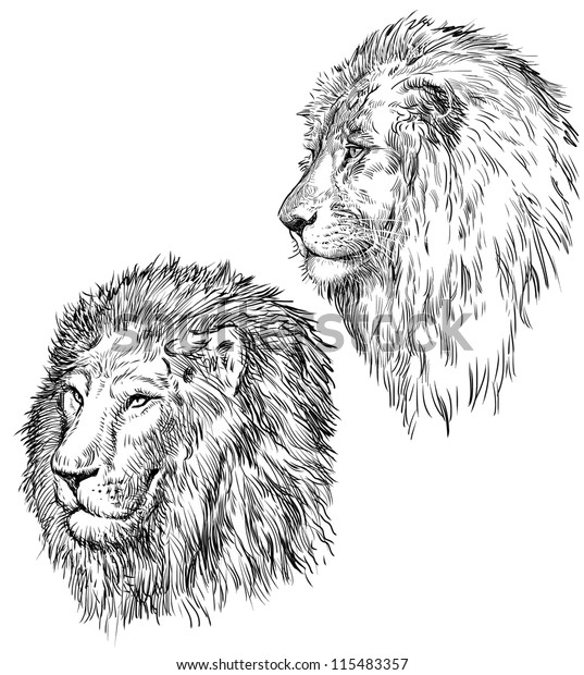 かっこいい ライオン 横顔 イラスト 藤の花 イラスト