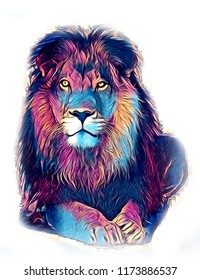 Lion Art Illustration Drawing