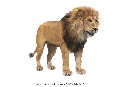 Lion Big Mane Isolated On White Stock Illustration 1042344646 ...