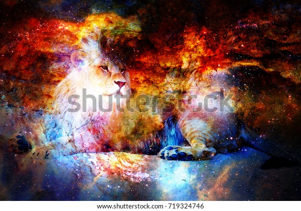 Lion in the cosmic space. Lion photos and graphic effect.