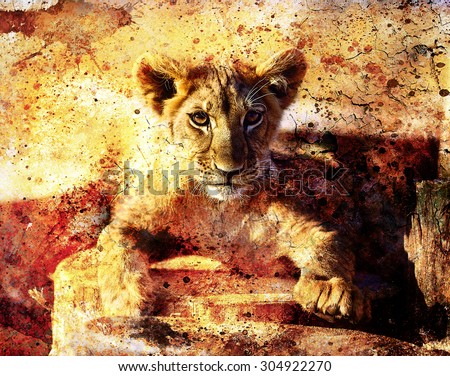 Lion cub photos and painting Abstract Collage. Eye contact.