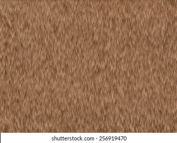 Lion Fur