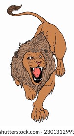lion image for drawing reference
