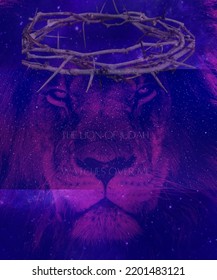 Lion Of Judah Graphic Illustration With Biblical Backround And Lion Icon. Multi Use Illustration