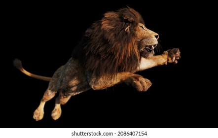 Lion Jump Attack On Black. 3D Illustration