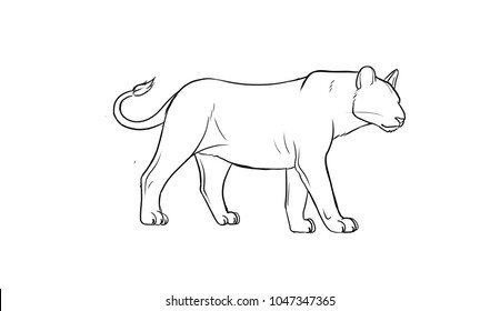 Lion Outline On White Background Stock Illustration 1047347365 ...