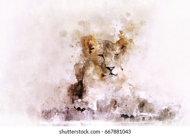 Lion In Water Color Filter