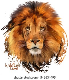 Lion Watercolor Illustration